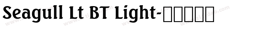 Seagull Lt BT Light字体转换